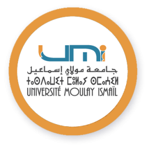 LOGO-UMI-2