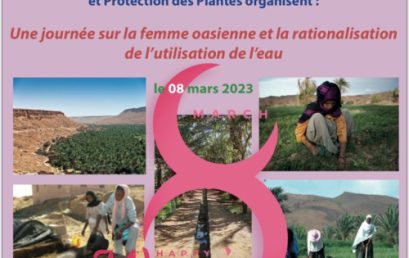 Journée sur la femme oasienne et la rationalisation de l’utilisation de l’eau