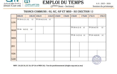 EMPLOIS DU TEMPS : Test de positionnement Elogha